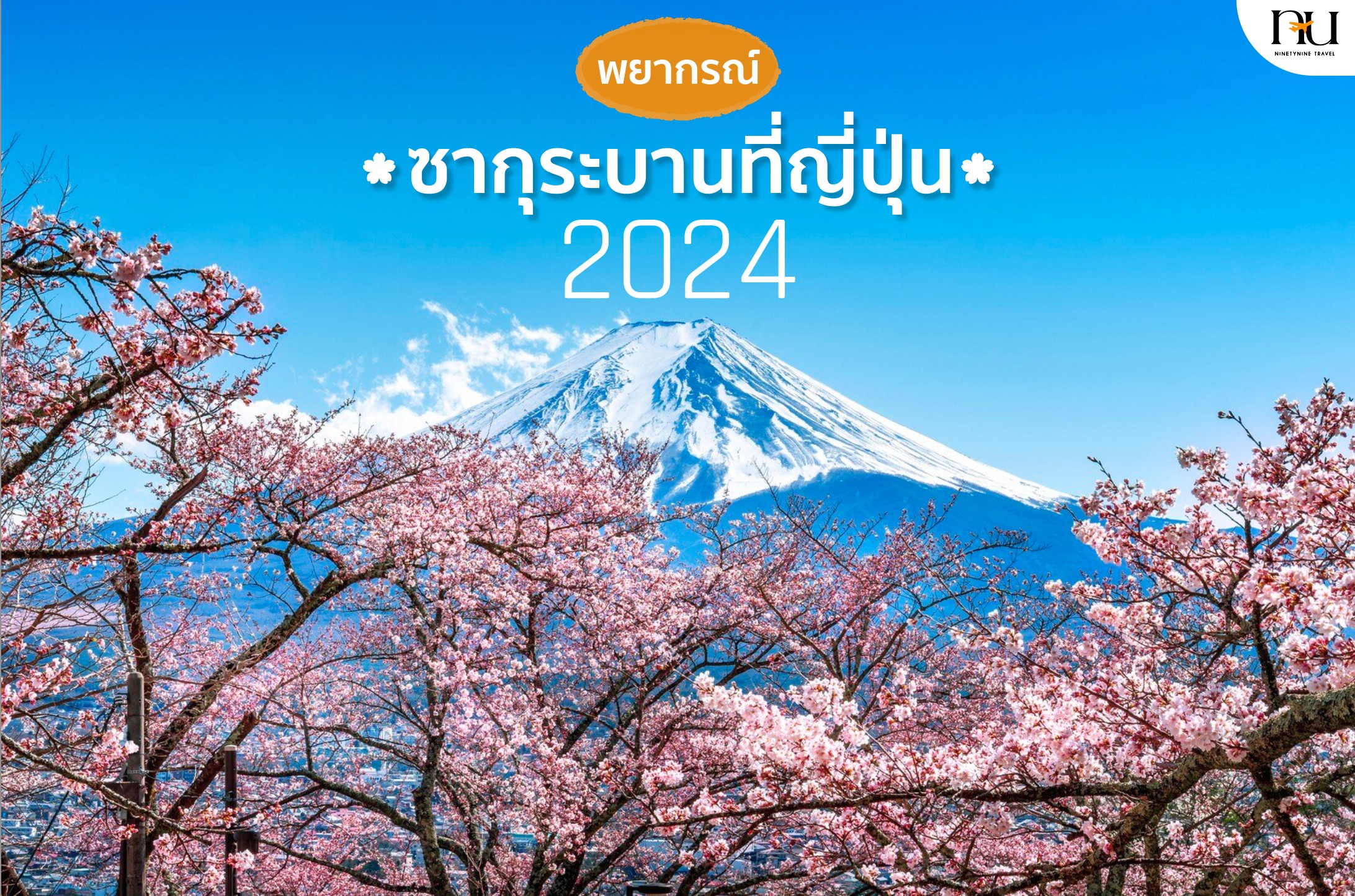 พยากรณ์ซากุระบานที่ญี่ปุ่น 2024